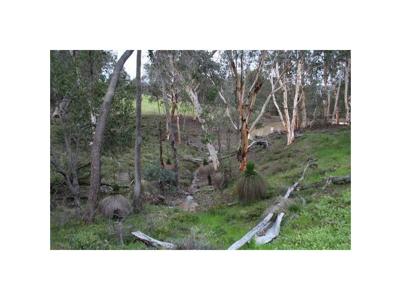 312 Reen Road, Gidgegannup WA 6083