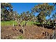 1345 Hidden Valley Road, Parkerville WA 6081