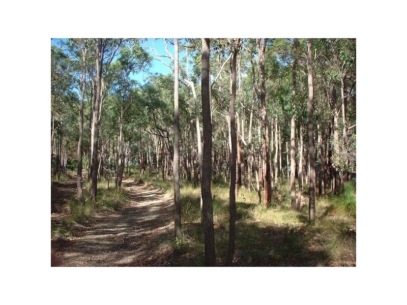 13 Patton Road, Mundaring WA 6073