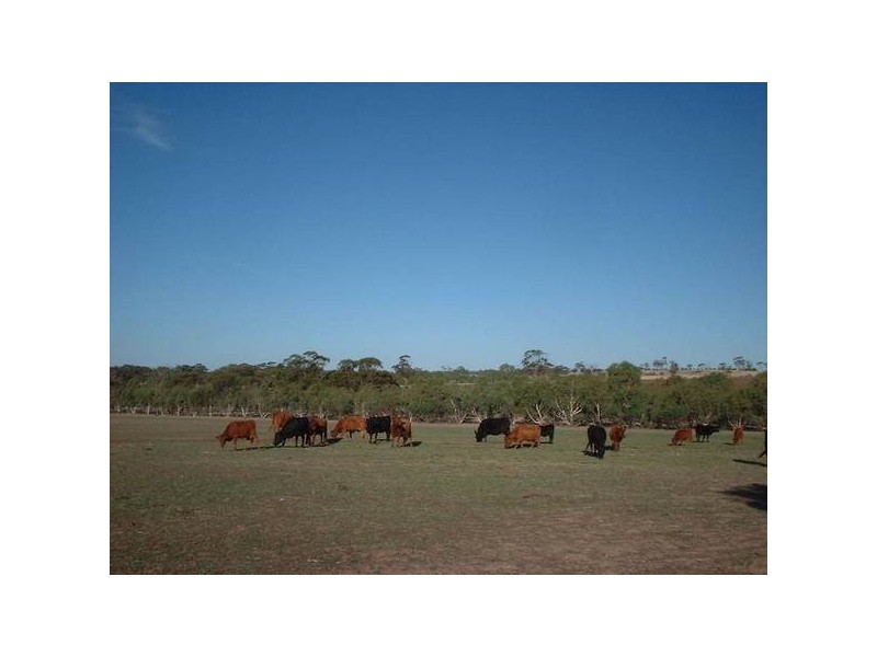 341 Lawrence Road, Northam WA 6401