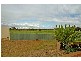 3 Jingella Mews, Viveash WA 6056