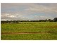 3 Jingella Mews, Viveash WA 6056