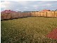99 Charlottes Vista, Ellenbrook WA 6069