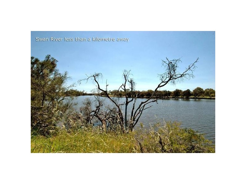 7 Hatton Court, Bassendean WA 6054