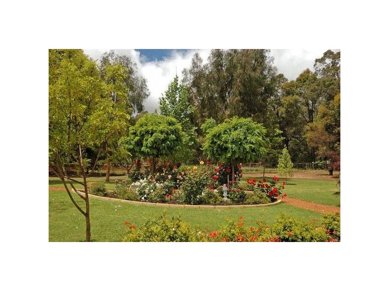 355 Cole Rd, Sawyers Valley WA 6074