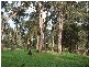 45 Strawberry Hill Drive, Gidgegannup WA 6083