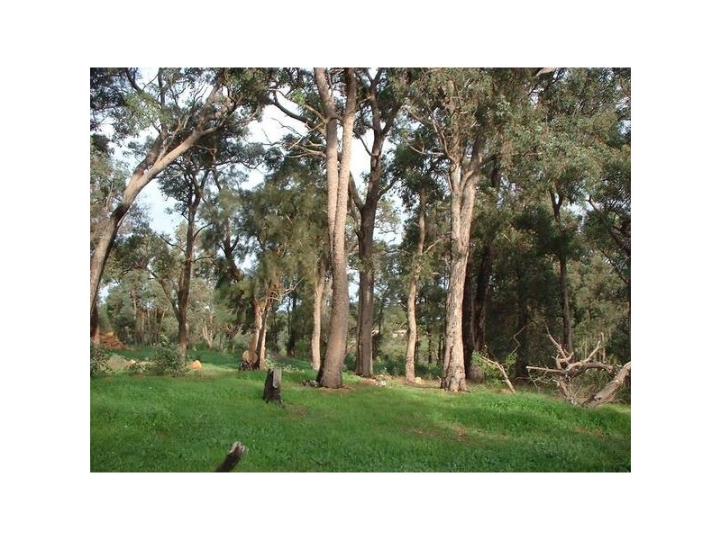 45 Strawberry Hill Drive, Gidgegannup WA 6083
