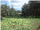 45 Strawberry Hill Drive, Gidgegannup WA 6083