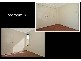 2/50 Sayer St, Midland WA 6056