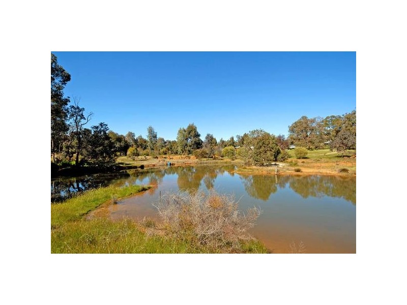74 Hampstead Hills Drive, Gidgegannup WA 6083