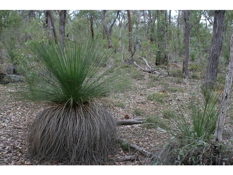 Lot 60,61 & 62,  Tooday Glen, Chittering WA 6084