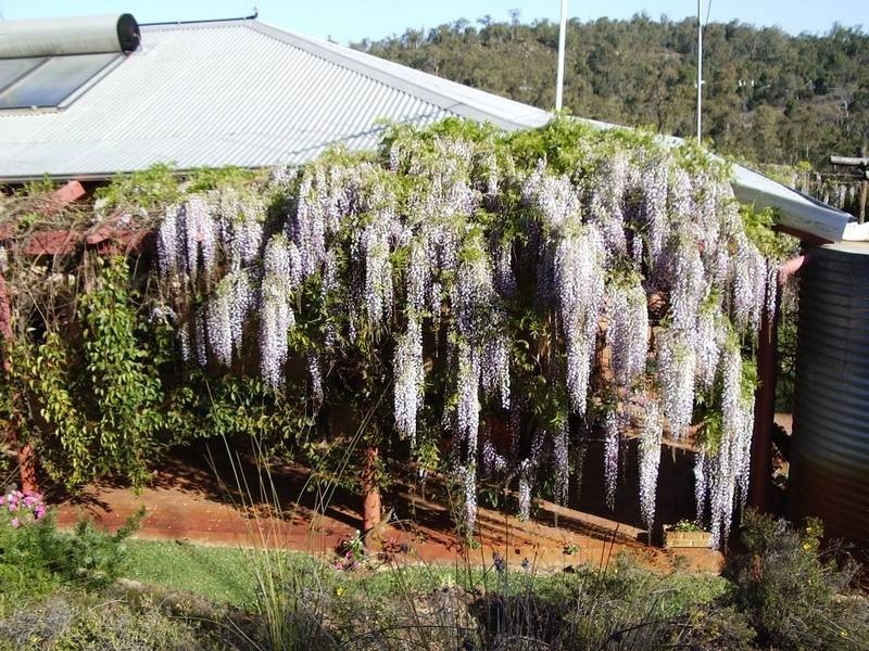 913 Reen Rd, Gidgegannup WA 6083