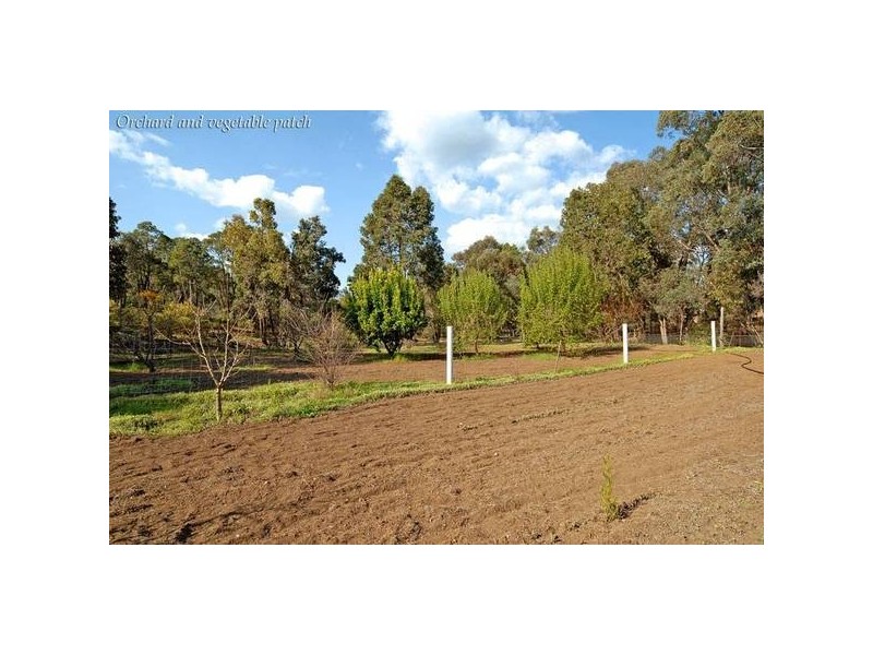 913 Reen Rd, Gidgegannup WA 6083