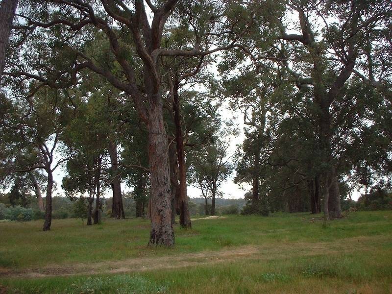 104 The Eyrie, Gidgegannup WA 6083