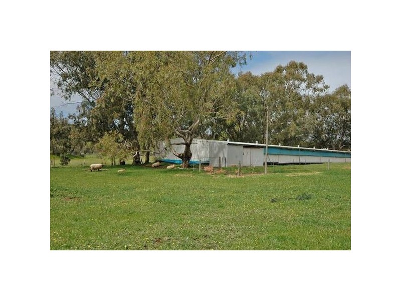 345 Stoneleigh Rd, Sawyers Valley WA 6074