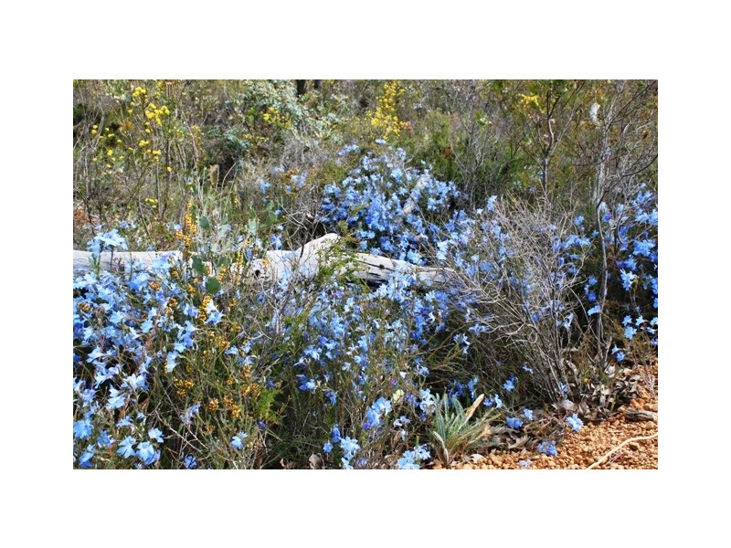 16/380 Clenton Rd, Gidgegannup WA 6083