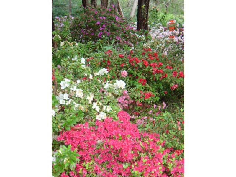 445 Hill Rd, Parkerville WA 6081