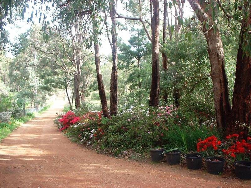 445 Hill Rd, Parkerville WA 6081