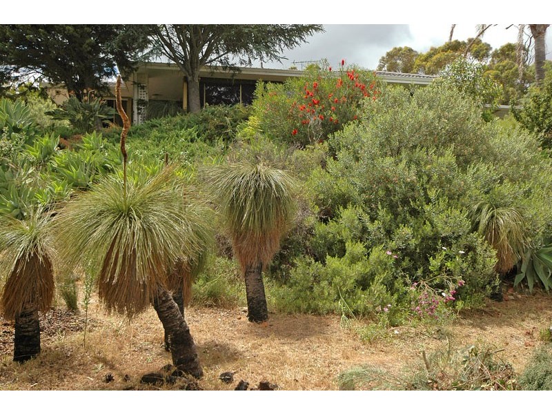 10 Pimelia Court, Swan View WA 6056