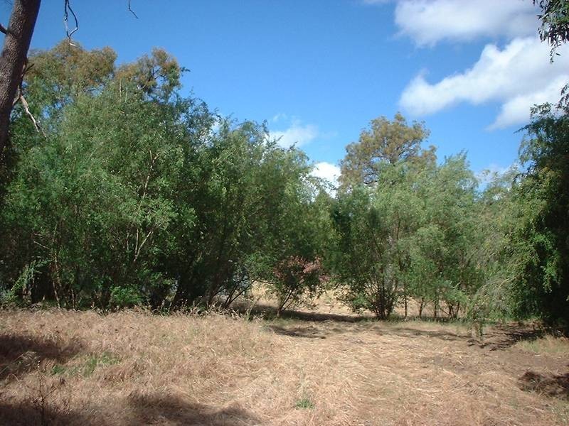 Lot 101,  Bedford St, Mount Helena WA 6082