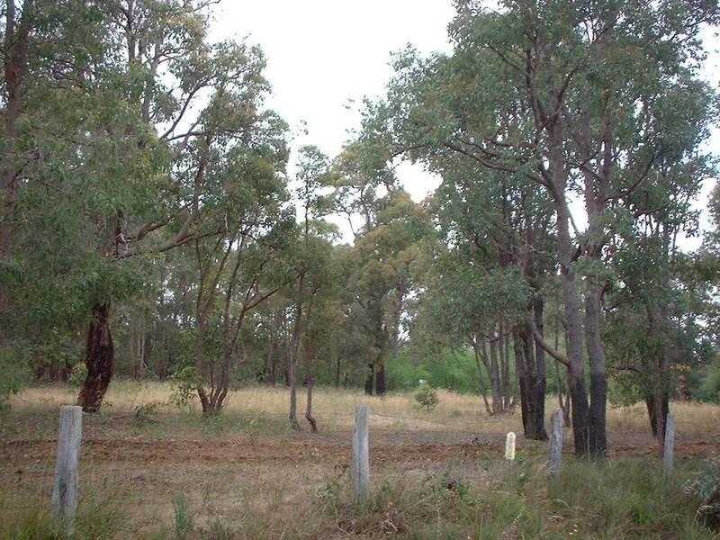 Lot 101,  Bedford St, Mount Helena WA 6082