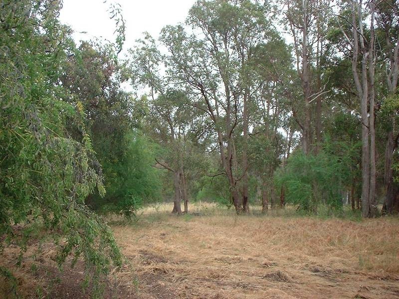 Lot 101,  Bedford St, Mount Helena WA 6082