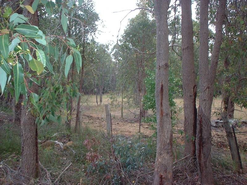 Lot 101,  Bedford St, Mount Helena WA 6082