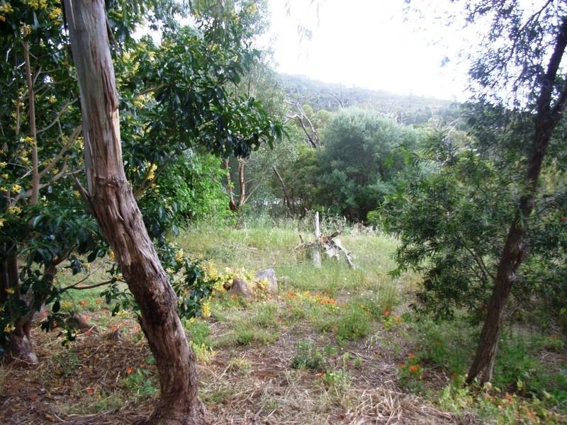 96 Scott Street, Boya WA 6056