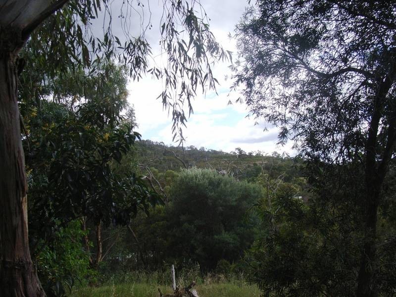 96 Scott Street, Boya WA 6056