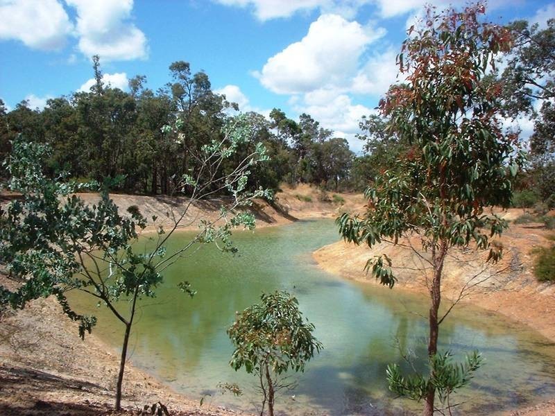 241 Karrak Ct, Gidgegannup WA 6083