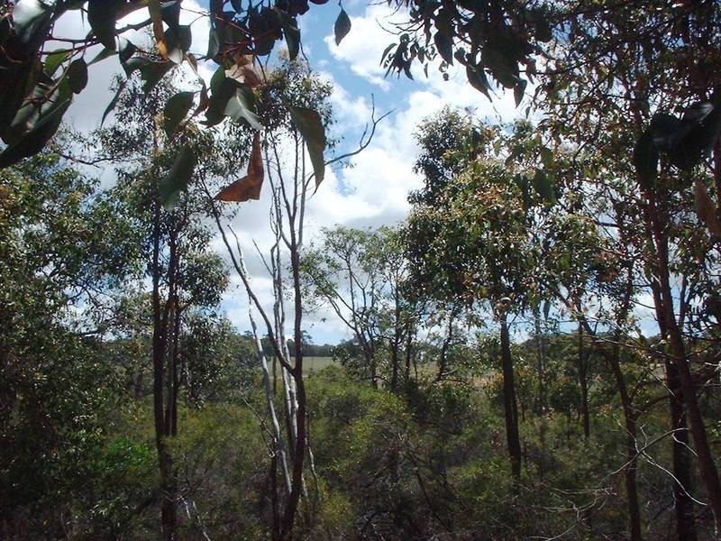 241 Karrak Ct, Gidgegannup WA 6083