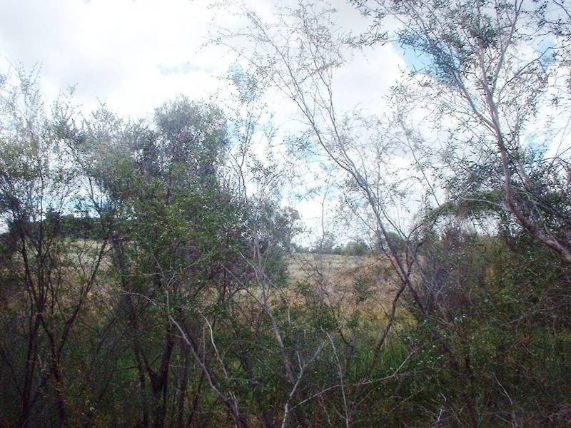 241 Karrak Ct, Gidgegannup WA 6083