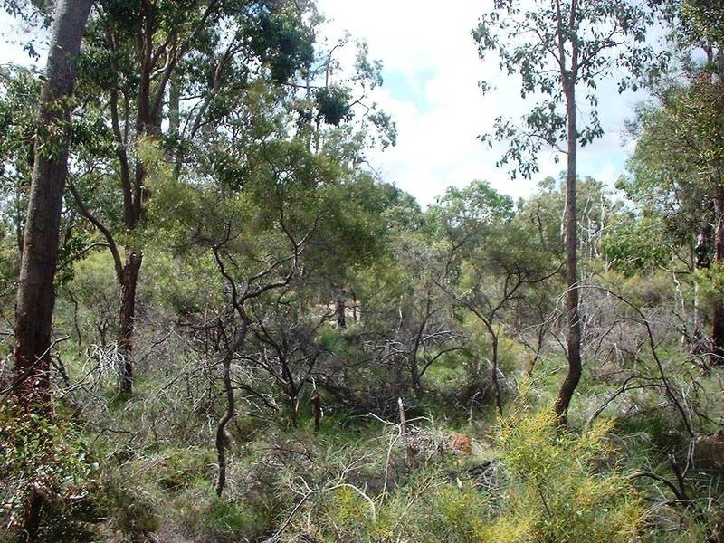 241 Karrak Ct, Gidgegannup WA 6083