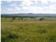 Windera QLD 4605