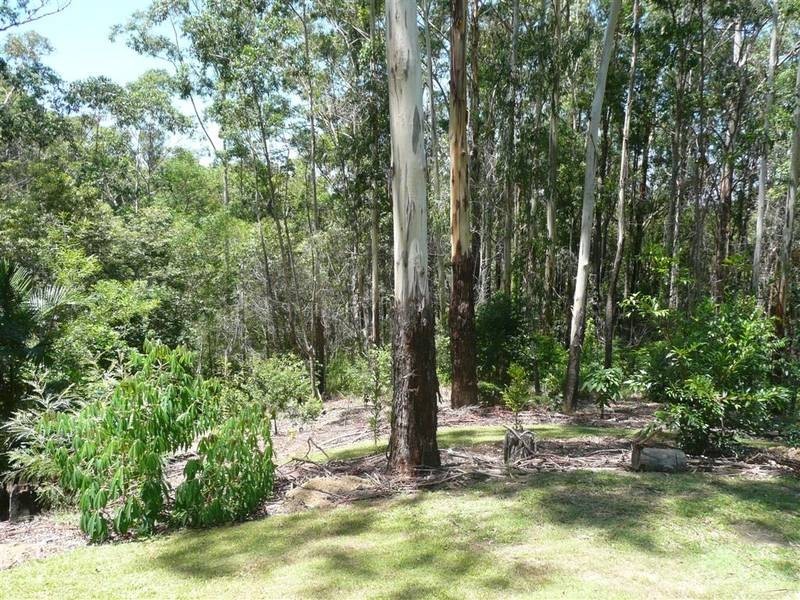 Crohamhurst QLD 4519