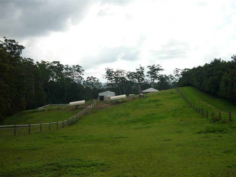 Peachester QLD 4519