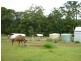 Peachester QLD 4519