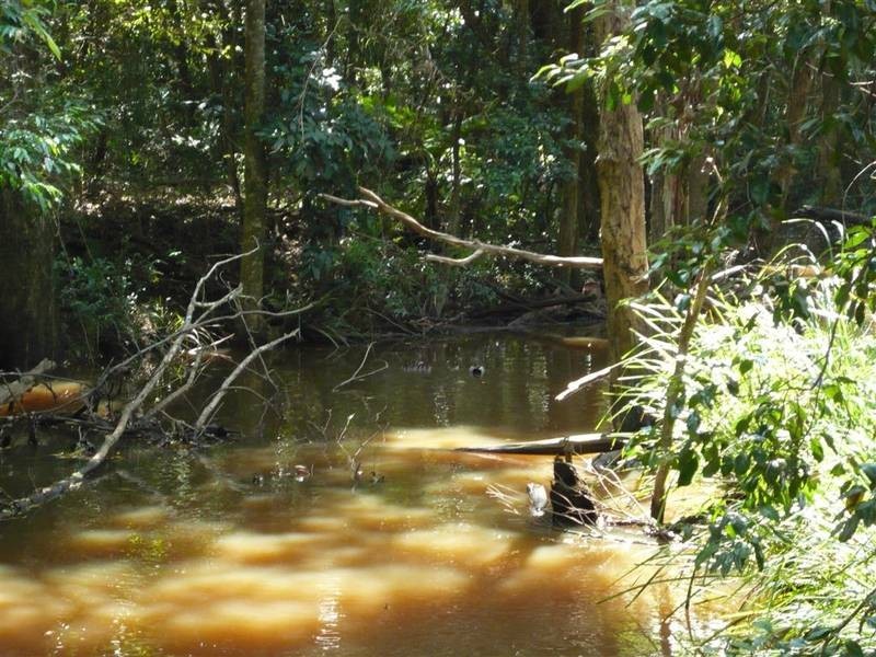 Peachester QLD 4519