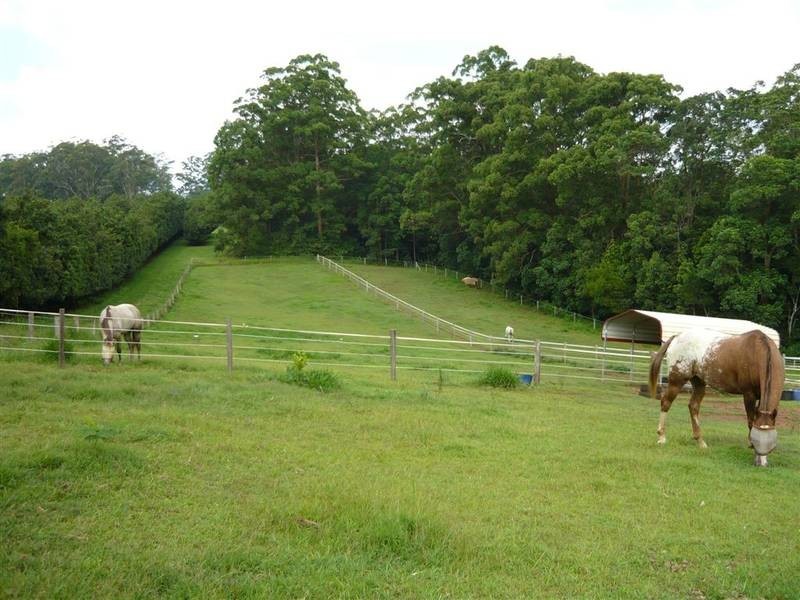 Peachester QLD 4519