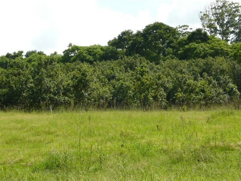 Peachester QLD 4519