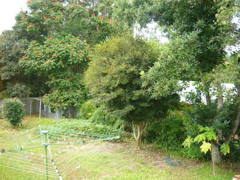 6 Sidha Avenue, Glass House Mountains QLD 4518