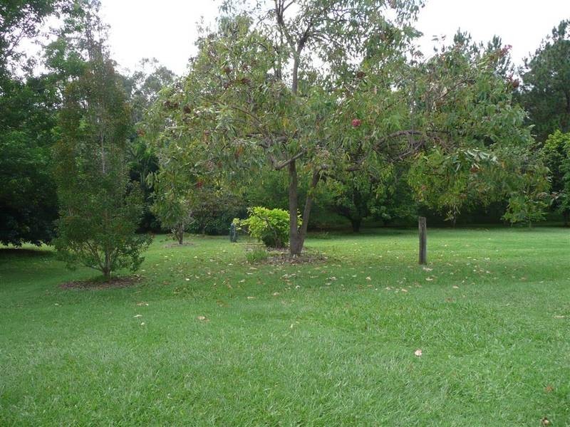 Beerwah QLD 4519
