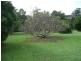 Beerwah QLD 4519