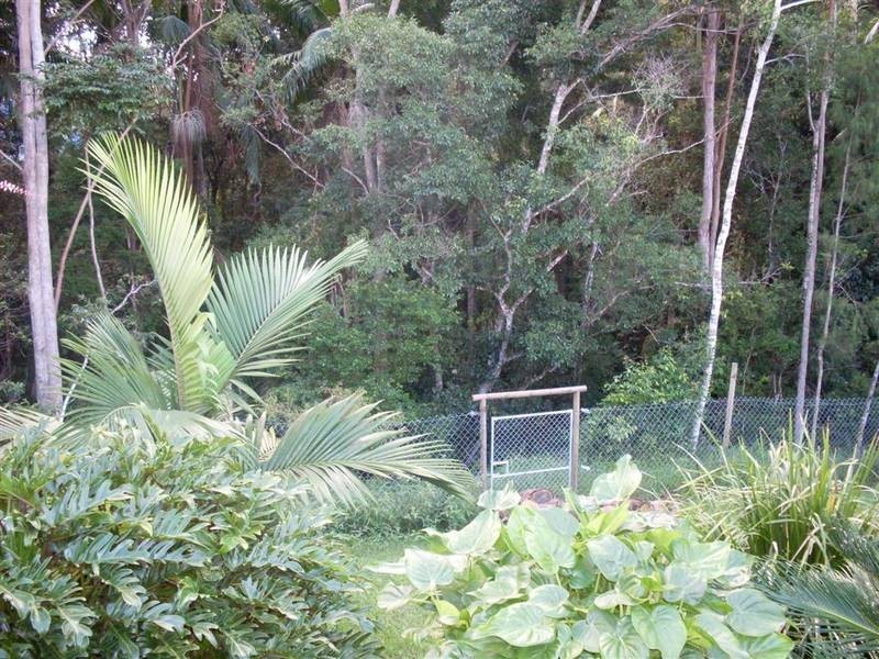 42 Ferngully Place, Mooloolah Valley QLD 4553