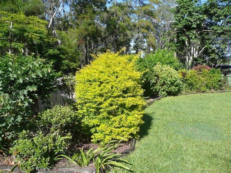 Landsborough QLD 4550