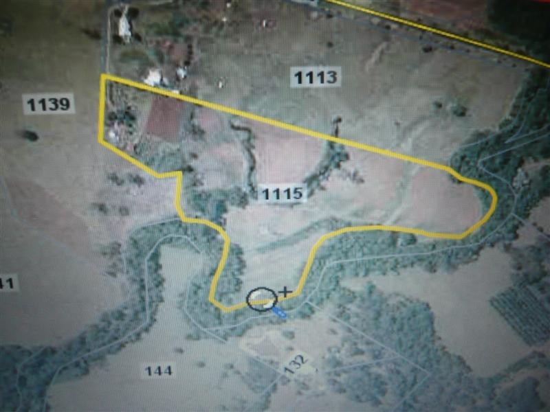 1115 Peachester Road, Peachester QLD 4519