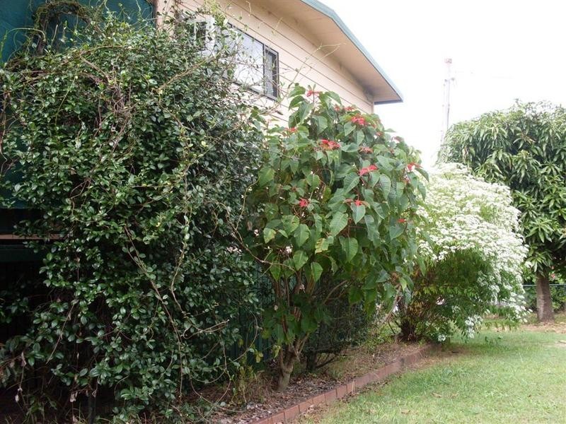 6 Sidha Avenue, Glass House Mountains QLD 4518