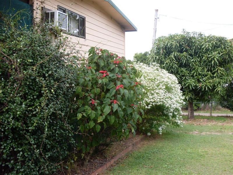 6 Sidha Avenue, Glass House Mountains QLD 4518