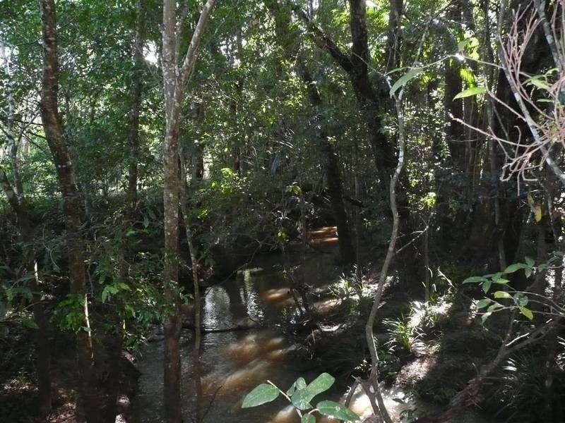 Peachester QLD 4519