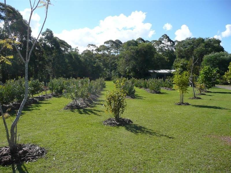 Peachester QLD 4519